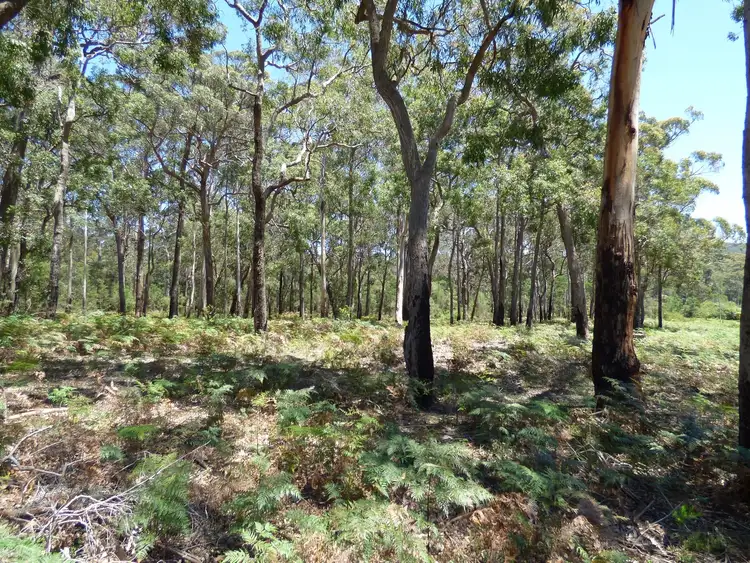 Fourth view of Homely land listing, Proposed LOT B Gleeson Road Wonboyn Via, Eden NSW 2551