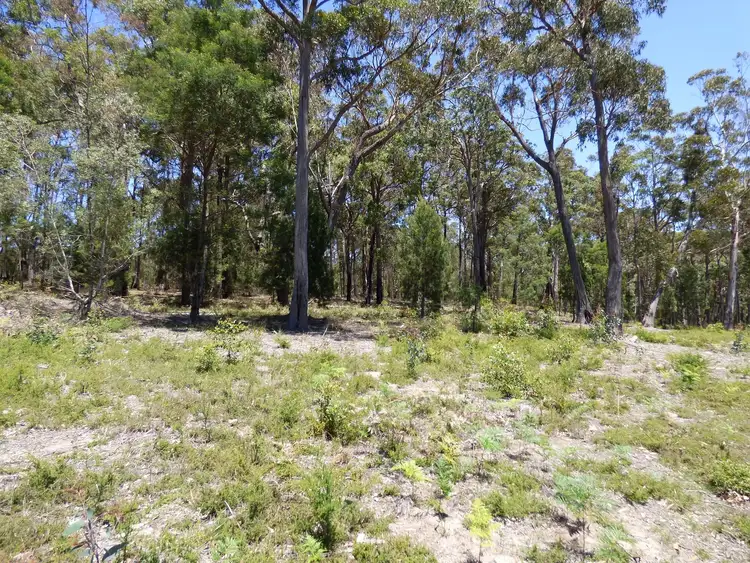 Second view of Homely land listing, Proposed Lot D Gleeson Road Wonboyn Via, Eden NSW 2551