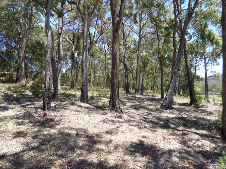Fourth view of Homely land listing, Proposed Lot D Gleeson Road Wonboyn Via, Eden NSW 2551