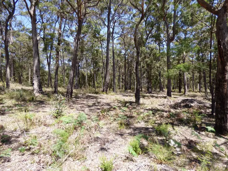 Fourth view of Homely land listing, Proposed LOT C Gleeson Road Wonboyn Via, Eden NSW 2551