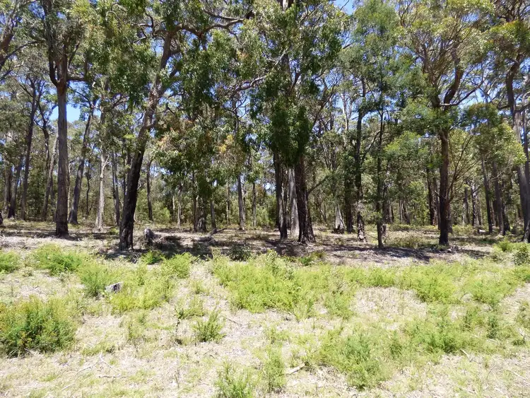 Sixth view of Homely land listing, Proposed LOT C Gleeson Road Wonboyn Via, Eden NSW 2551