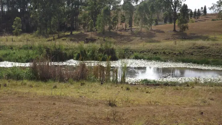 Main view of Homely rural property listing, 249 Dyraaba, Dyraaba NSW 2470