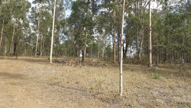 Third view of Homely rural property listing, 249 Dyraaba, Dyraaba NSW 2470