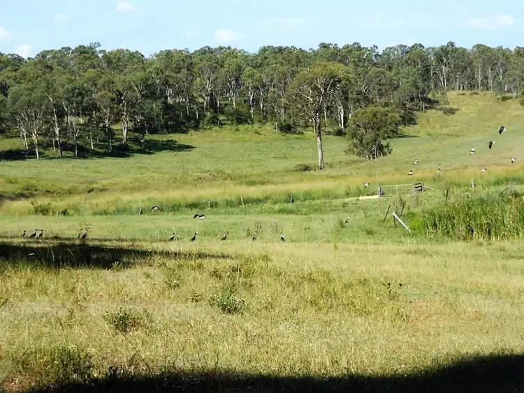 Seventh view of Homely rural property listing, 249 Dyraaba, Dyraaba NSW 2470