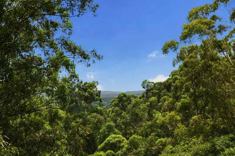 Main view of Homely rural property listing, 450 Upper Landershute Rd, Landers Shoot QLD 4555
