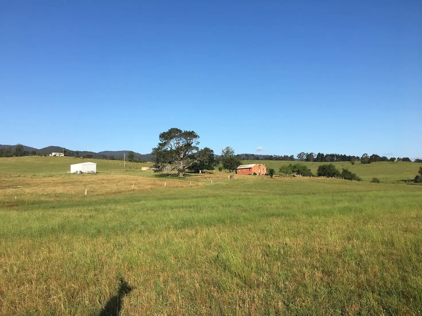 Main view of Homely rural property listing, 2579 Towamba Rd, Towamba NSW 2550