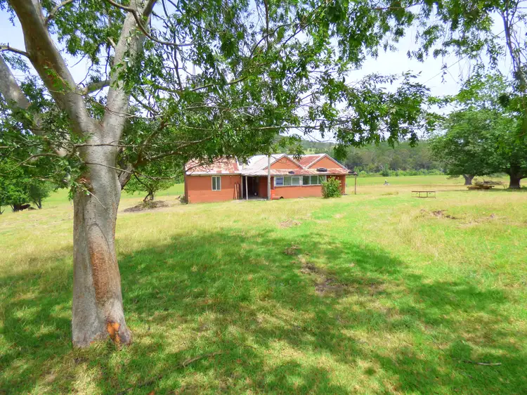 Third view of Homely rural property listing, 2579 Towamba Rd, Towamba NSW 2550