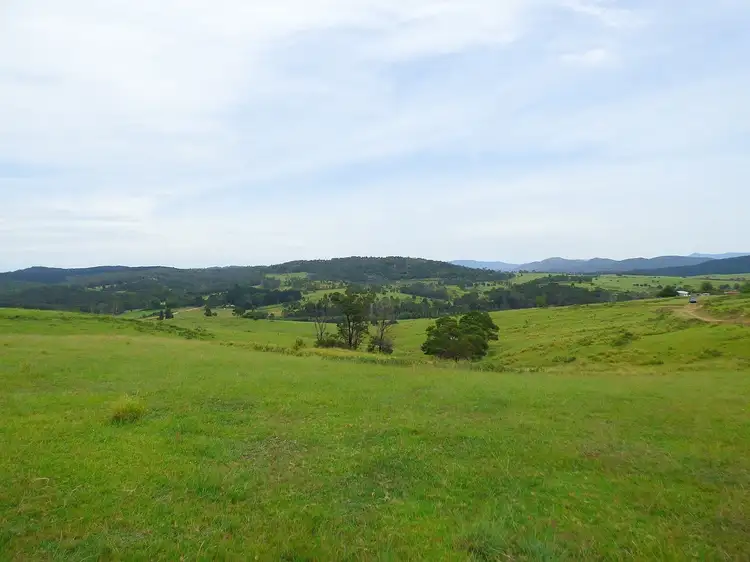 Fourth view of Homely rural property listing, 2579 Towamba Rd, Towamba NSW 2550