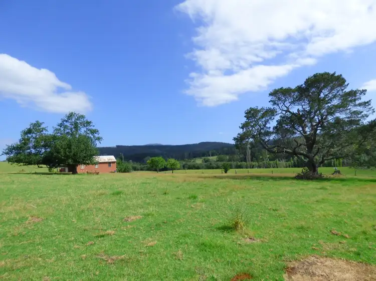Sixth view of Homely rural property listing, 2579 Towamba Rd, Towamba NSW 2550