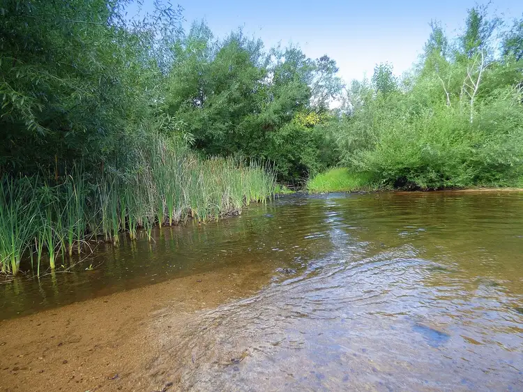 Seventh view of Homely rural property listing, 2579 Towamba Rd, Towamba NSW 2550