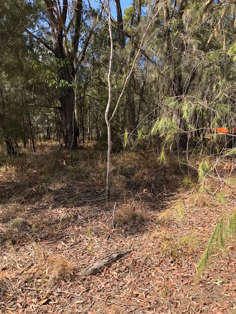 Fourth view of Homely land listing, 53 Fenton Rd, Russell Island QLD 4184
