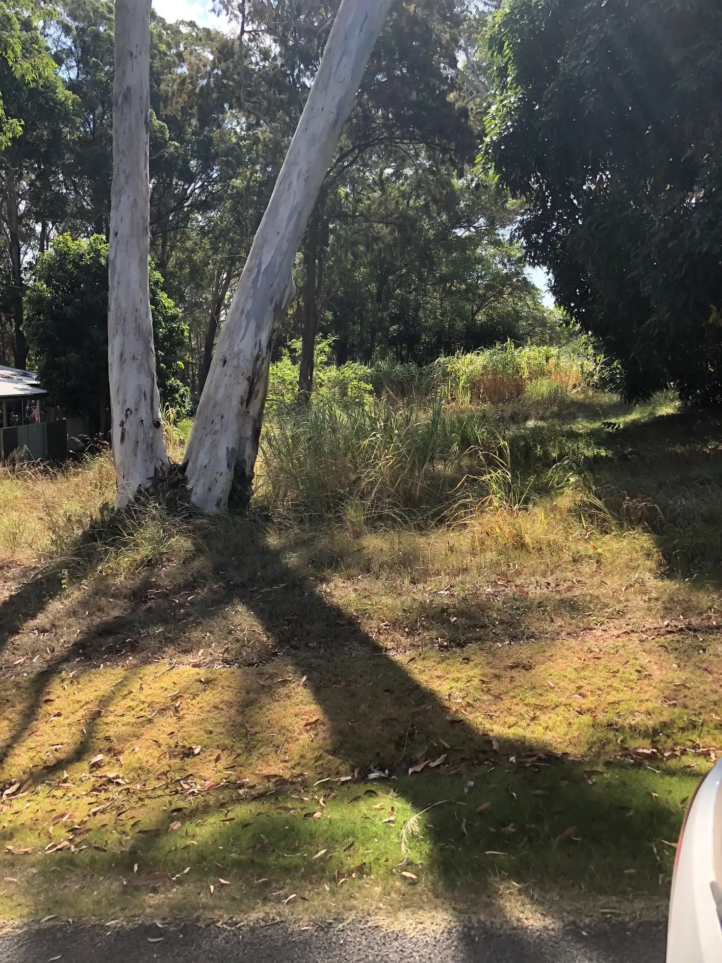 Main view of Homely land listing, 5 Pao Pao Rd, Russell Island QLD 4184