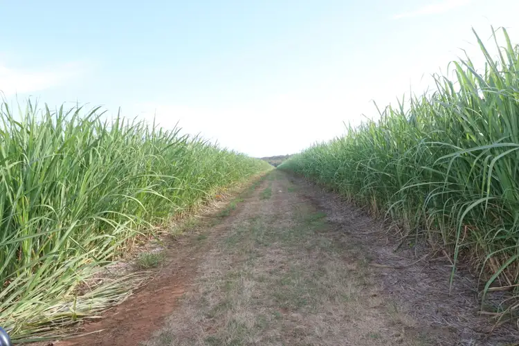 Sixth view of Homely rural property listing, 43 Andersons Rd, Abington QLD 4660