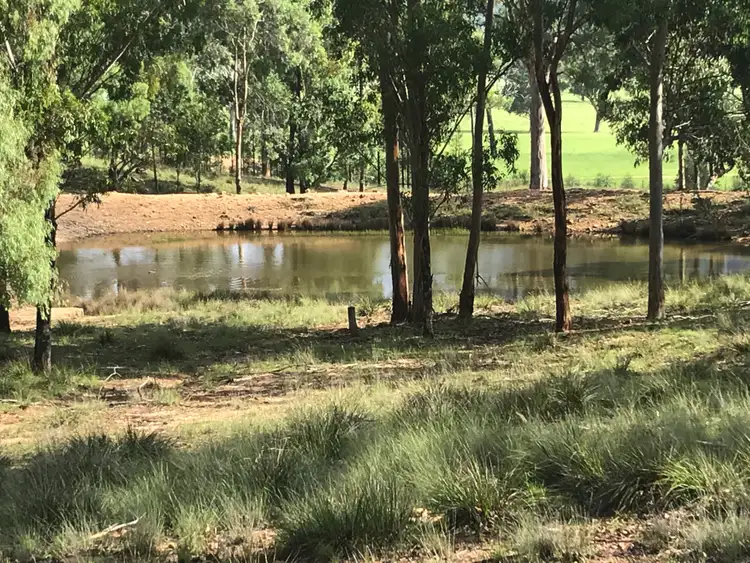 Seventh view of Homely rural property listing, 179 The Gullies Rd, Glen Davis NSW 2846