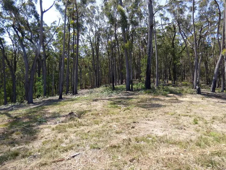 Third view of Homely rural property listing, Lot 1 Princes Highway Kiah Via, Eden NSW 2551