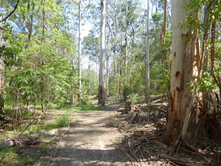 Fifth view of Homely rural property listing, Lot 1 Princes Highway Kiah Via, Eden NSW 2551