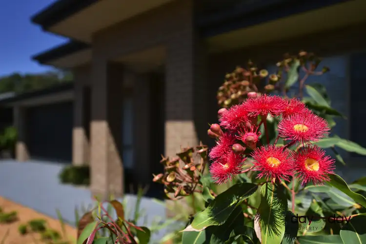 Second view of Homely house listing, 6 Tallowwood Cres, Fletcher NSW 2287
