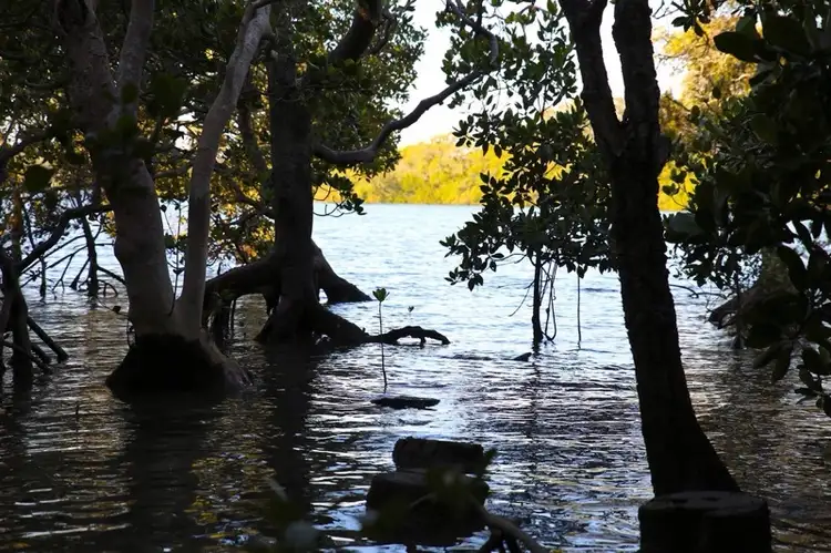 Third view of Homely land listing, 2 Keith St, Macleay Island QLD 4184