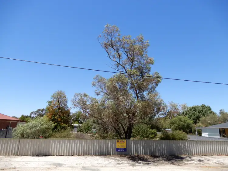 26 Garden St, Laura SA 5480