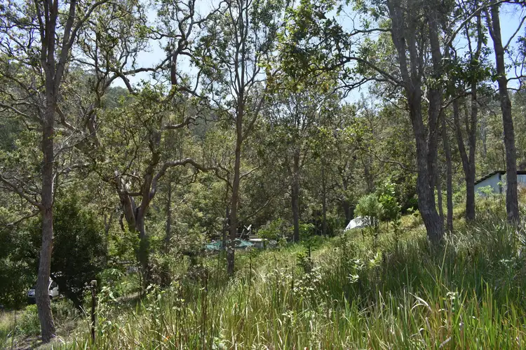 Fourth view of Homely rural property listing, Lot 11 Blackhorse Creek, Kyogle NSW 2474
