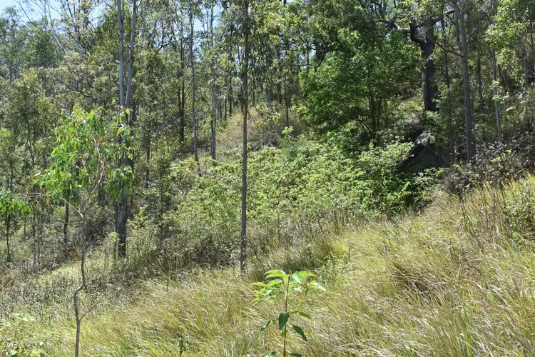 Sixth view of Homely rural property listing, Lot 11 Blackhorse Creek, Kyogle NSW 2474