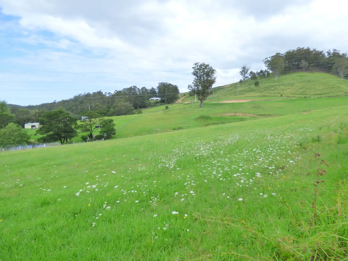 Main view of Homely rural property listing, Proposed Lot/660 Mine Road, Wolumla NSW 2550