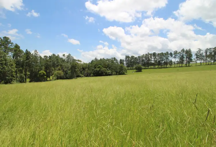 Seventh view of Homely land listing, 229 Malanda Peeramon Road, Peeramon QLD 4885
