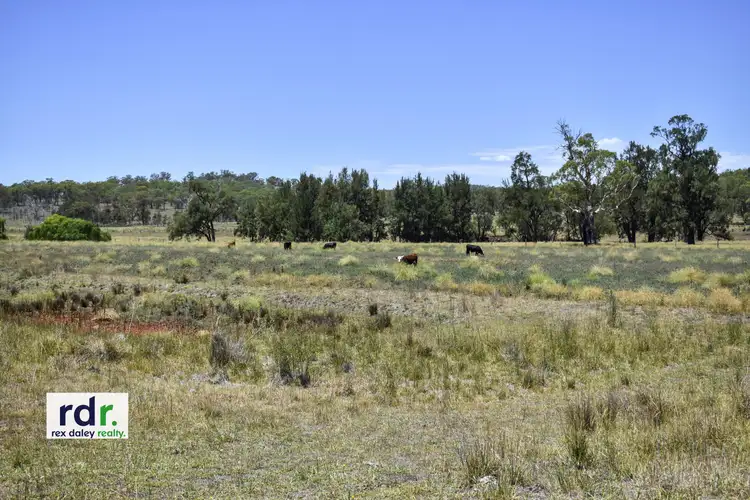 Second view of Homely rural property listing, 00 Elsmore Rd, Inverell NSW 2360