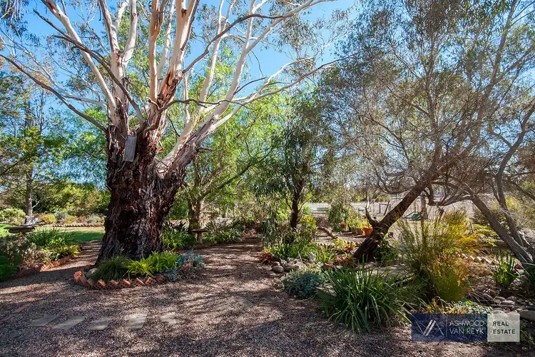 Third view of Homely rural property listing, 45 Romawi Rd, Forge Creek VIC 3875