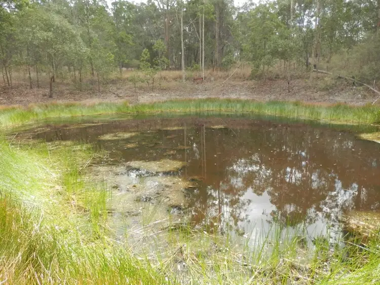 Main view of Homely rural property listing, 62 Ewingar Ridge Rd, Ewingar NSW 2469