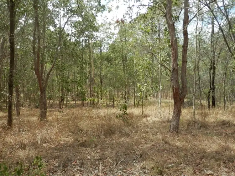 Second view of Homely rural property listing, 62 Ewingar Ridge Rd, Ewingar NSW 2469