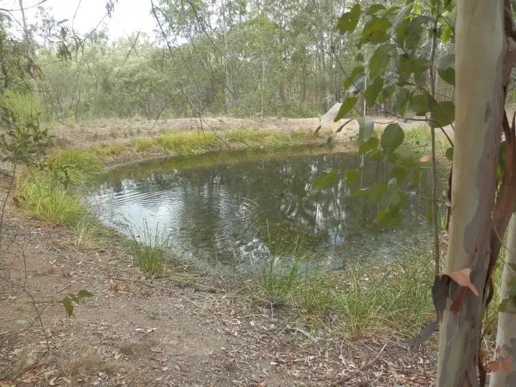 Third view of Homely rural property listing, 62 Ewingar Ridge Rd, Ewingar NSW 2469