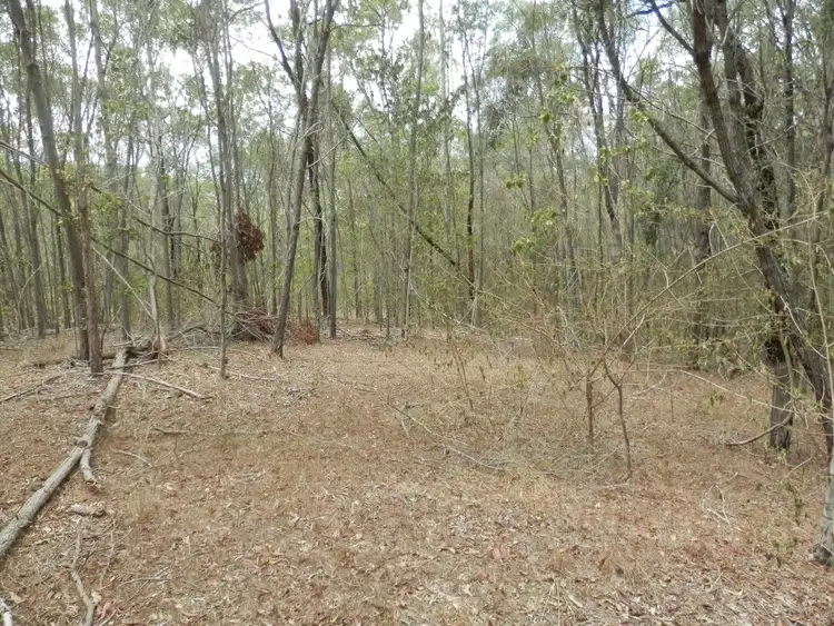 Fifth view of Homely rural property listing, 62 Ewingar Ridge Rd, Ewingar NSW 2469