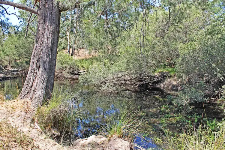 Second view of Homely rural property listing, 17059 Cunningham Hwy, Thane QLD 4370