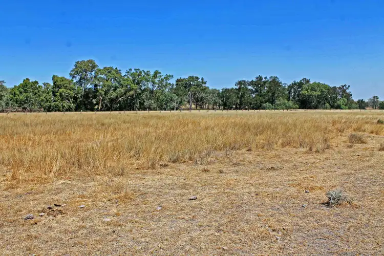 Fourth view of Homely rural property listing, 17059 Cunningham Hwy, Thane QLD 4370