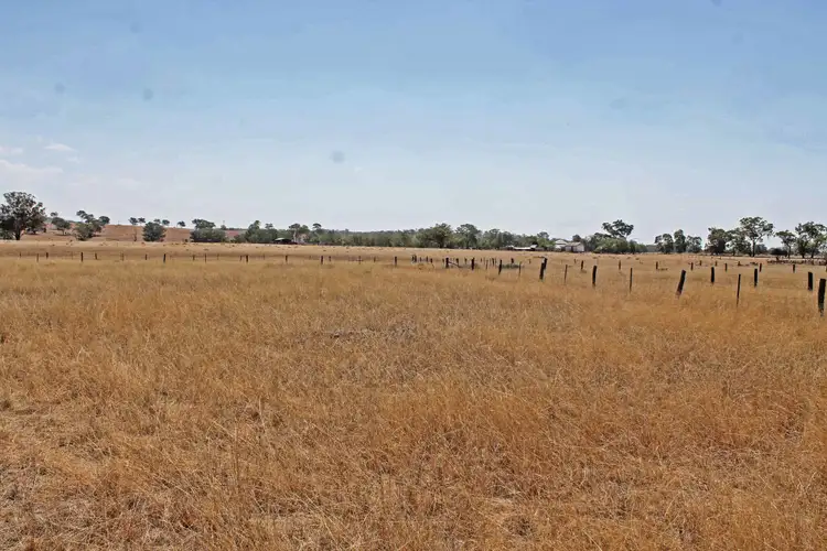 Fifth view of Homely rural property listing, 17059 Cunningham Hwy, Thane QLD 4370
