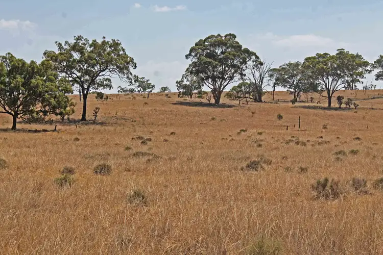 Sixth view of Homely rural property listing, 17059 Cunningham Hwy, Thane QLD 4370