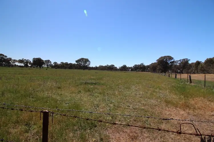 Third view of Homely rural property listing, 8C Research Station Lane, Rutherglen VIC 3685