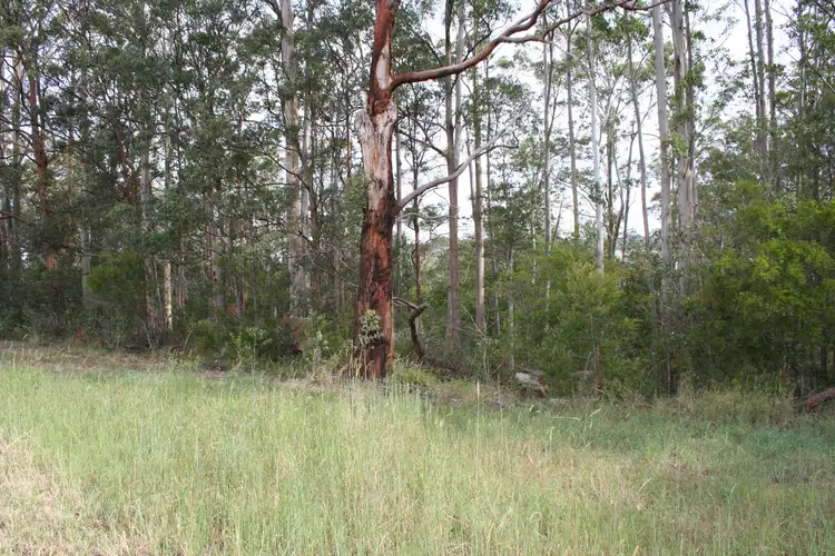 Main view of Homely land listing, 33 Brenchley Circuit, Crosslands NSW 2446