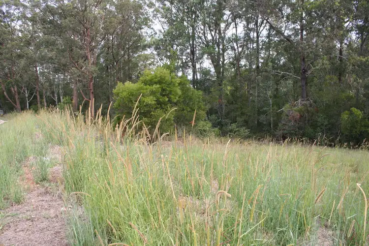 Fifth view of Homely land listing, 33 Brenchley Circuit, Crosslands NSW 2446