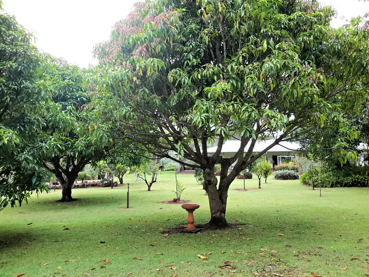 Main view of Homely rural property listing, 447 Millstream Pde, Millstream QLD 4888