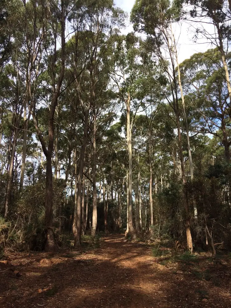 Seventh view of Homely land listing, Lot 1/72 Johns Road, Deloraine TAS 7304