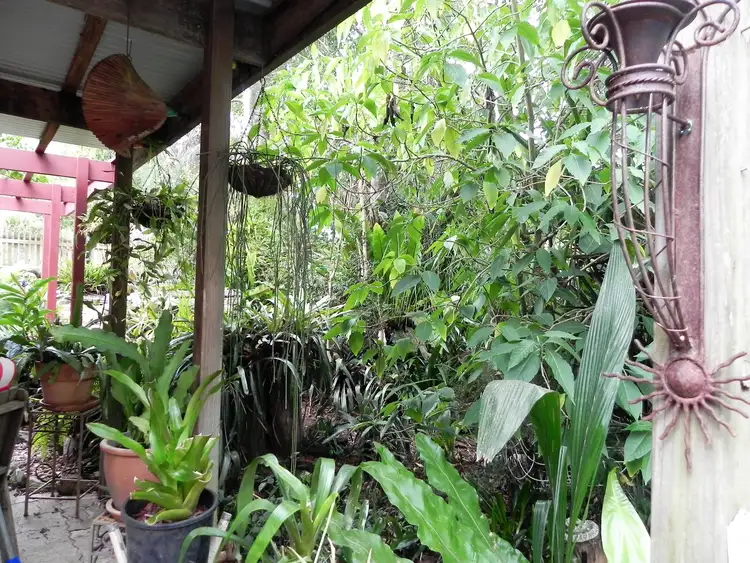Sixth view of Homely house listing, 9 Dingo Pde, Jimna QLD 4515