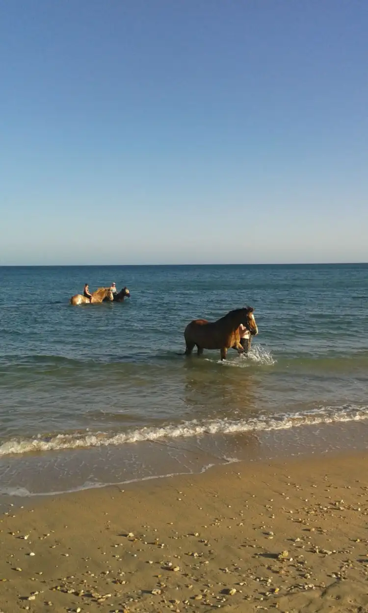 Second view of Homely land listing, Lot 2, Heron Way, Exmouth WA 6707