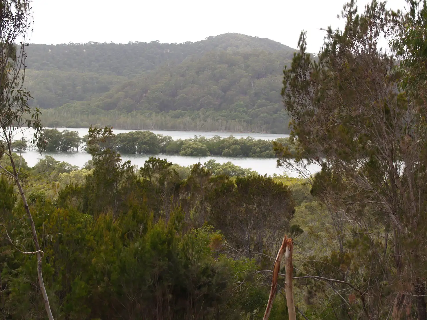 Main view of Homely land listing, 12 Naples Dr, Russell Island QLD 4184