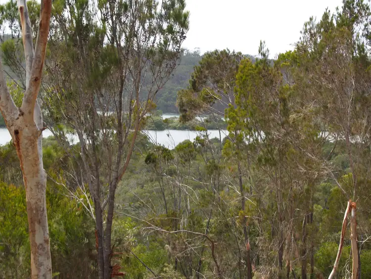 Third view of Homely land listing, 12 Naples Dr, Russell Island QLD 4184