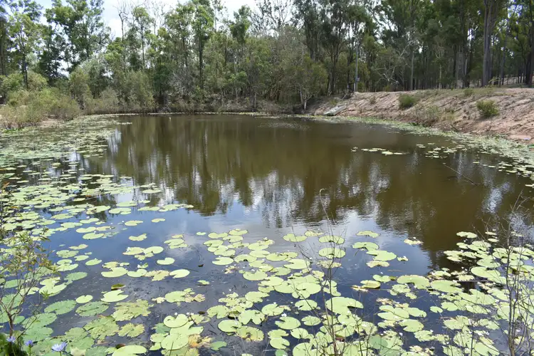Third view of Homely rural property listing, 113 Harris Rd, Yerra QLD 4650