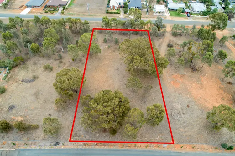 Main view of Homely land listing, 222-224 High St, Rutherglen VIC 3685