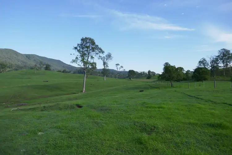 Third view of Homely rural property listing, 59 Chelmsford Rd, Rock Valley NSW 2480