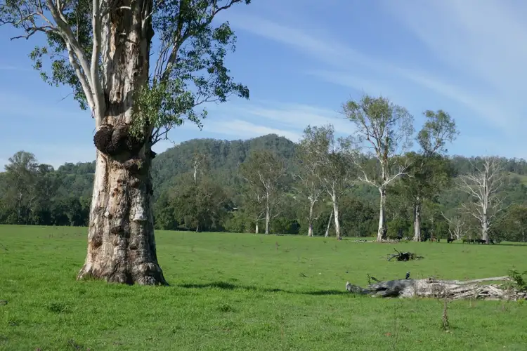 Fourth view of Homely rural property listing, 59 Chelmsford Rd, Rock Valley NSW 2480